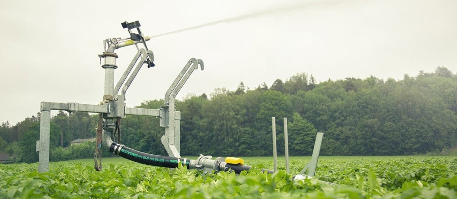 Irrigation sensors reduce water loss on farms